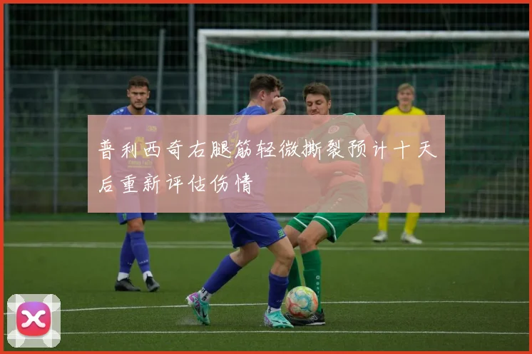 普利西奇右腿筋轻微撕裂预计十天后重新评估伤情