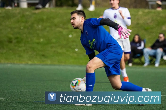 天博体育平台生态图